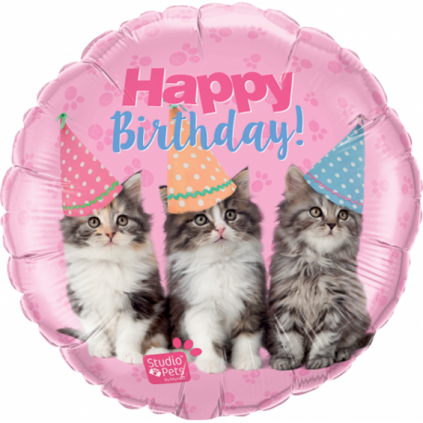 Folienballon "Happy Birthday Katzen Studio Pets"